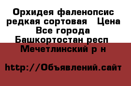 Орхидея фаленопсис редкая сортовая › Цена ­ 800 - Все города  »    . Башкортостан респ.,Мечетлинский р-н